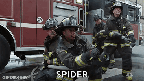Firefighters Kneeling With Hose In Front Of Truck GIF