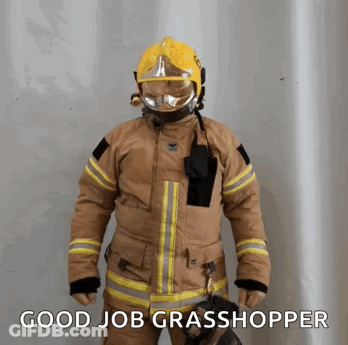 Fireman In Helmet And Gloves Says Good Job Grasshopper GIF