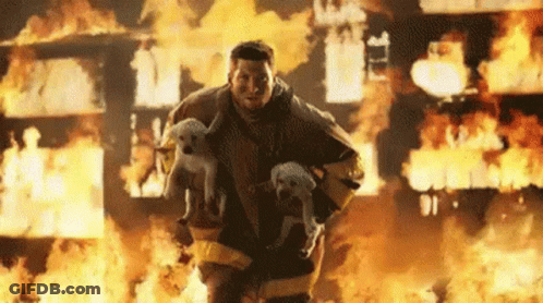 Fireman Running Through Burning Building Holding Two Puppies GIF