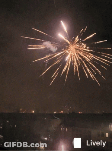 Fireworks Are Displayed In The Night Sky With A Lively Logo In The Corner GIF