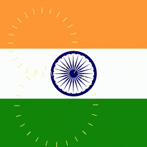 Fireworks Art India Flag GIF