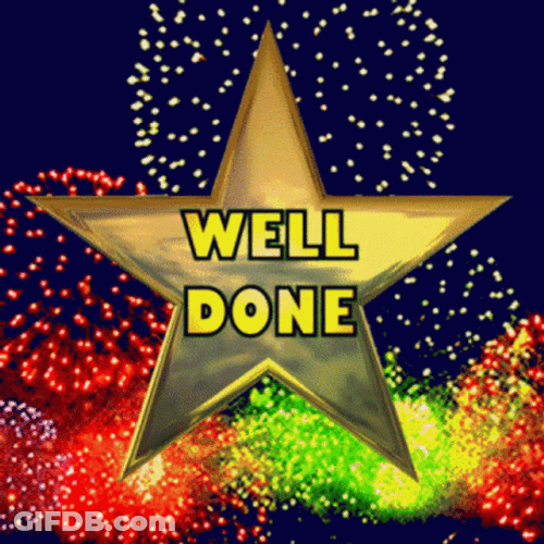 Fireworks Celebration Well Done Congratulations GIF