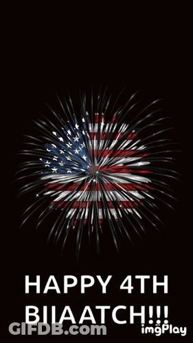 Fireworks Display Happy 4Th Biiaatch GIF