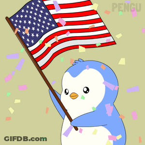 Fireworks Display Happy 4Th Of July Aida GIF