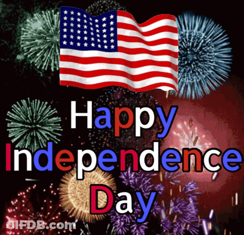 Fireworks Display Happy Independence Day GIF