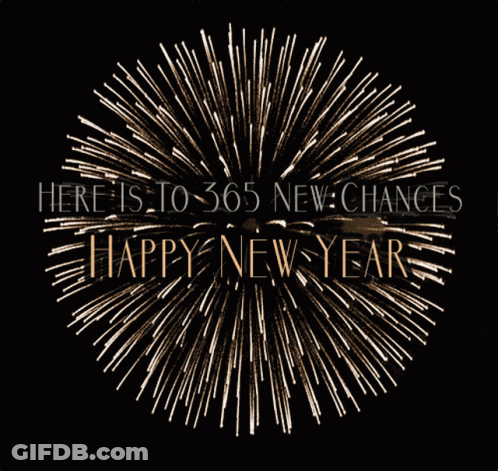 Fireworks Display Here Is To 365 New Chances GIF
