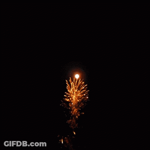 Fireworks Display In Night Sky GIF