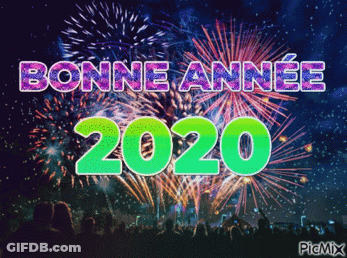 Fireworks Display Saying Bonne Annee 2020 GIF