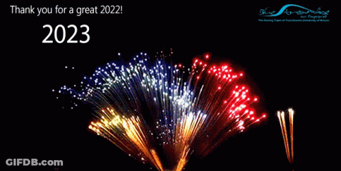 Fireworks Display Thank You For A Great 2023 GIF