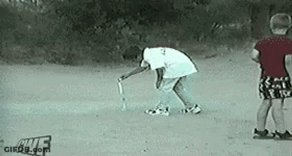 Fireworks Fail Gotten By Dog GIF