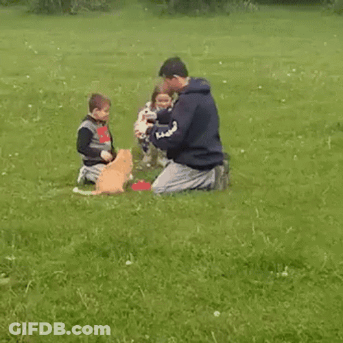 Fireworks Fail Pet Cat Left Behind GIF