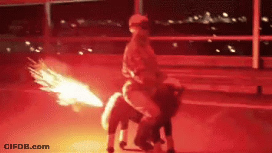 Fireworks Fail Stuck At Donkey Butt GIF
