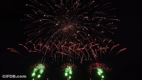 Fireworks In Night Sky With Green Flowers GIF