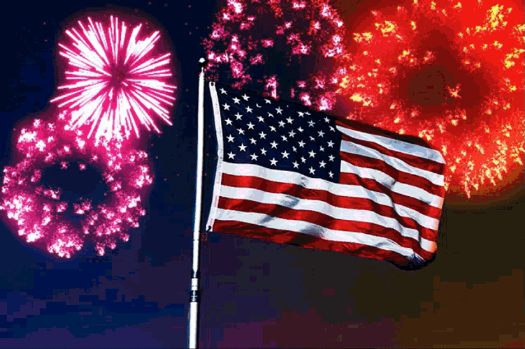 Fireworks Independence GIF