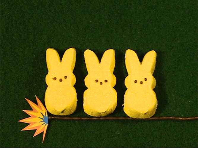 Fireworks Peeps Bunnies GIF