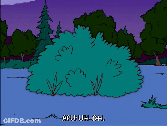 Firing The Bush GIF