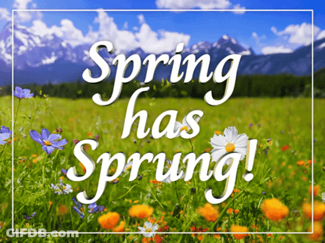 First Day Of Spring Has Already Sprung GIF