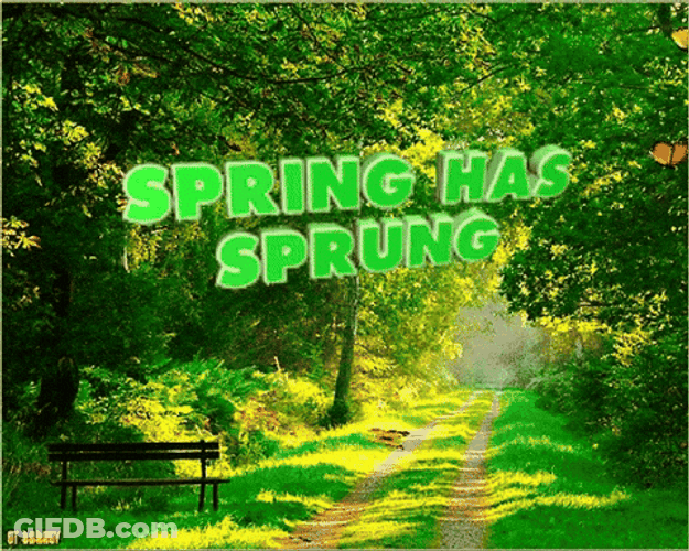 First Day Of Spring Has Sprung GIF