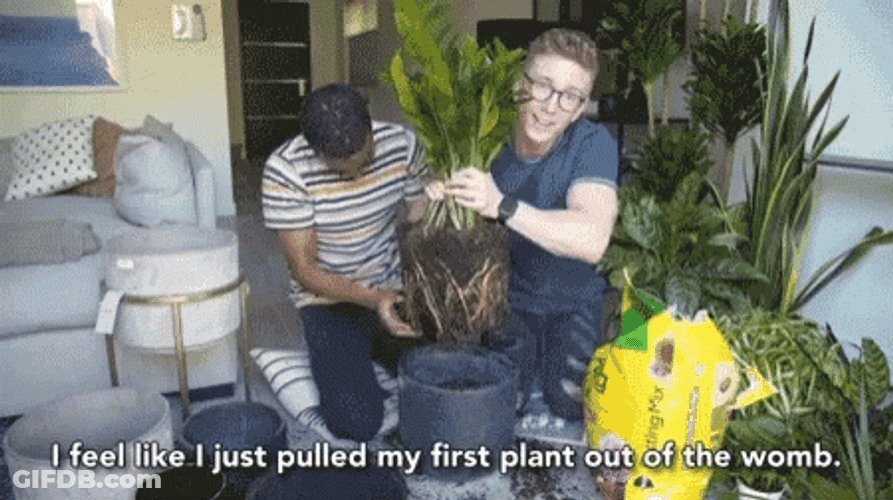 First Plant Out Of Womb GIF
