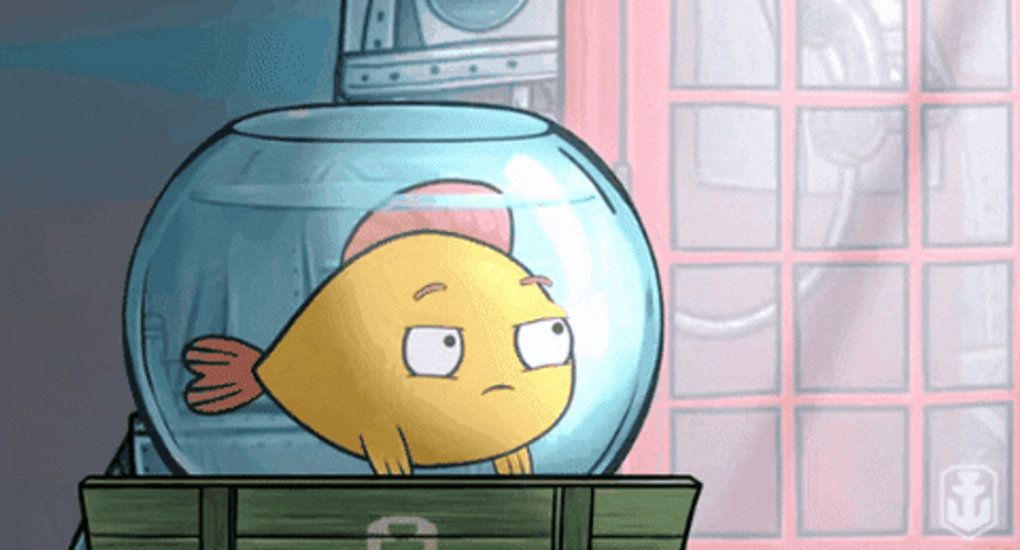 Fish Admire It's Beautiful GIF