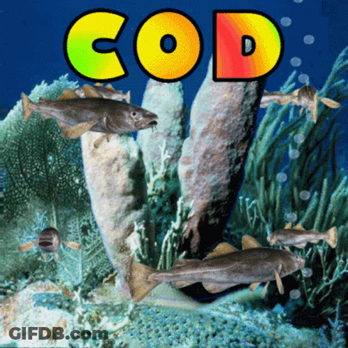 Fish And Sponges With Word Cod GIF