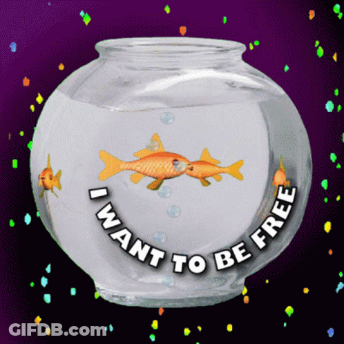 Fish Bowl Saying I Want To Be Free GIF