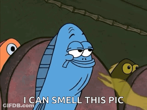 Fish Cartoon Saying I Can Smell This GIF