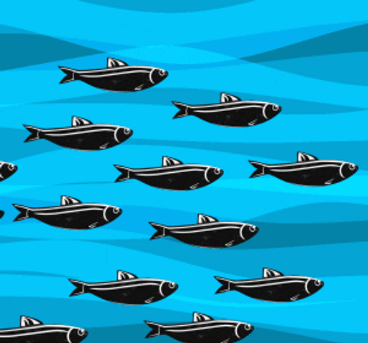 Fish Caught Fishing Hook GIF