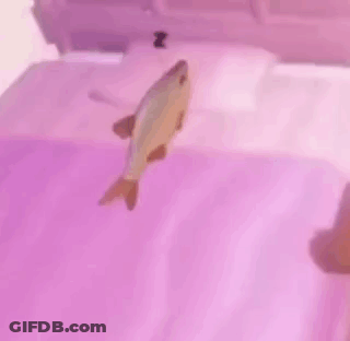 Fish Floating On Bed GIF