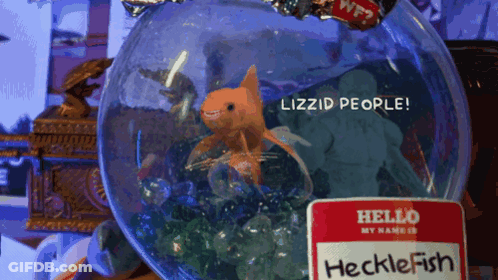 Fish In Bowl With Hello My Name Is Hecklefish Tag GIF