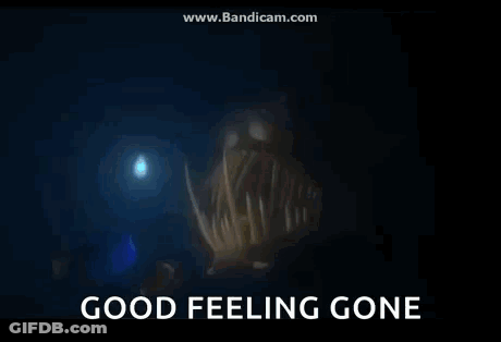 Fish In Ocean Good Feeling Gone GIF