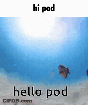 Fish In Ocean Saying Hello Pod GIF