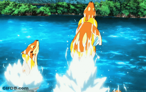 Fish Jumping Out Of Water With Eclipsed Tumblr GIF
