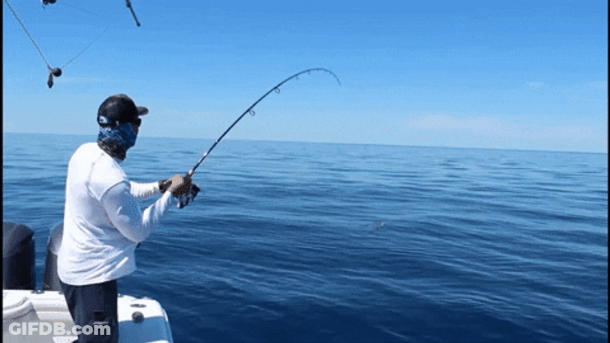 Fish Jumps While Fishing GIF