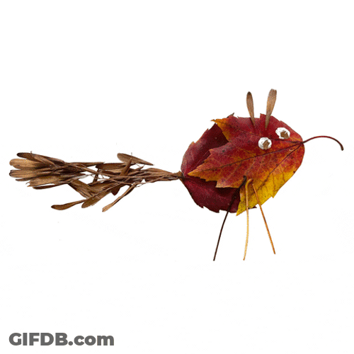 Fish Leaf Art GIF