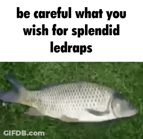 Fish Lying In Grass Be Careful What You Wish For GIF