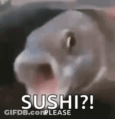 Fish Mouth Open Saying Sushi Please GIF