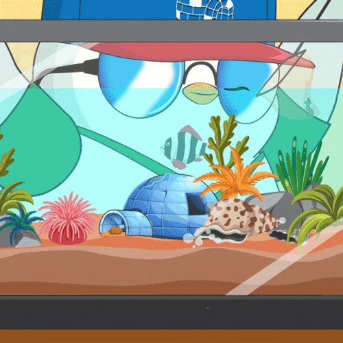 Fish Pet GIF