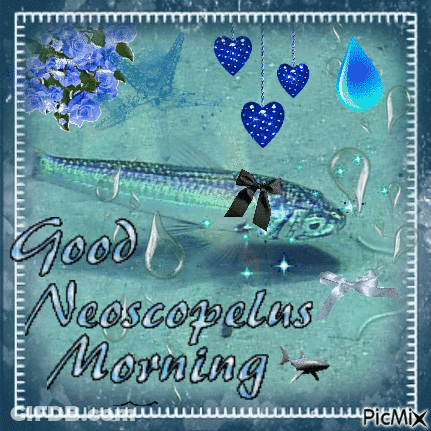 Fish Saying Good Neoscopelas Morning GIF