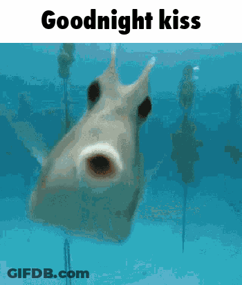 Fish Saying Goodnight Kiss GIF