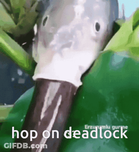 Fish Saying Hop On Deadlock GIF