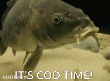 Fish Saying It's Cod Time GIF