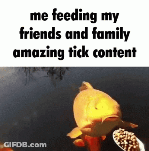 Fish Saying Me Feeding My Friends And Family GIF