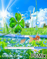 Fish Swimming In Pond With Clover And Bubbles GIF