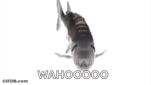 Fish Swimming Saying Wahoooo GIF
