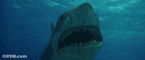 Fish Tail Close Up GIF