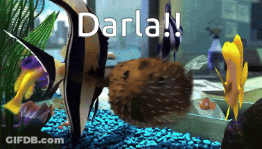 Fish Tank With Darla GIF