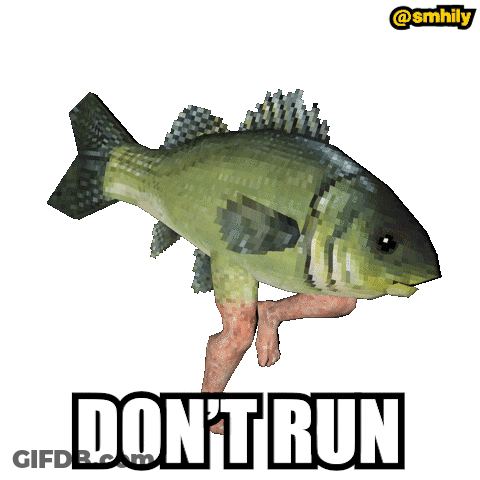 Fish With Human Legs Saying Don't Run GIF