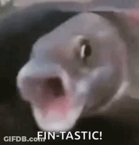 Fish With Open Mouth Saying Fin-Tastic GIF