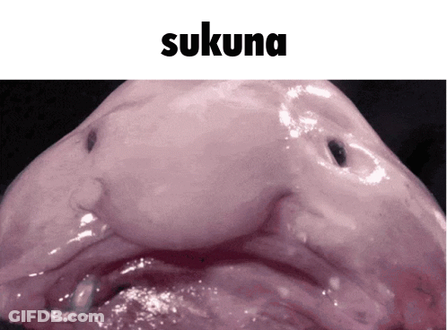 Fish With Sukuna GIF